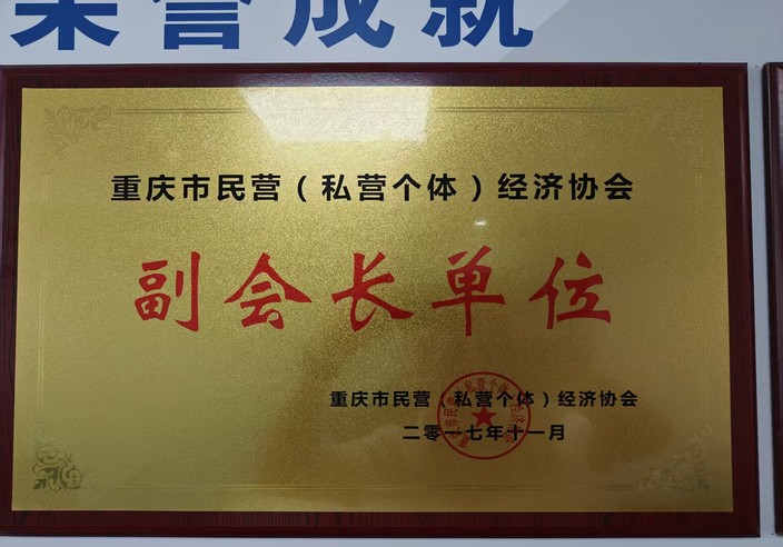 重庆宜度科技有限公司荣获重庆市民营经济协会副会长单位
