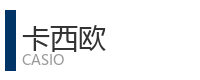 重庆宜度租车公司合作单位：卡西欧
